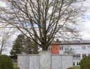 Kriegerdenkmal in Aunkirchen bei der Schule